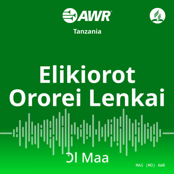 AWR Maasai / Masai / l Maa